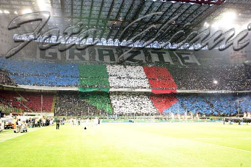 Foto #15
